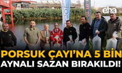 Porsuk Çayı’na 5 Bin Aynalı Sazan Bırakıldı!