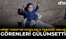 Minik Yusuf'un Kuzularla Yaşadığı Anlar Görenleri Gülümsetti