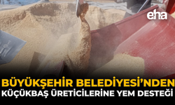 Büyükşehir Belediyesi’nden Küçükbaş Üreticilerine Yem Desteği