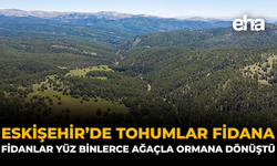Eskişehir’de Tohumlar Fidana, Fidanlar Yüz Binlerce Ağaçla Ormana Dönüştü
