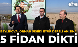 Beylikova, Orman Şehidi Eyüp Dereli Anısına 5 Bin Fidan Dikti