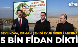 Beylikova, Orman Şehidi Eyüp Dereli Anısına 5 Bin Fidan Dikti