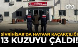 Sivrihisar'da Hayvan Kaçakçılığı: 13 Kuzuyu Çaldı!