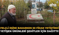 Felçli Eşine Bakarken 50 Fidan Yetiştirdi: Yetişen Ürünleri Şehitler İçin Dağıttı!