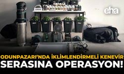 Odunpazarı’nda İklimlendirmeli Kenevir Serasına Operasyon!