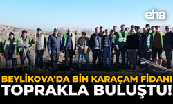 Beylikova’da Bin Karaçam Fidanı Toprakla Buluştu!