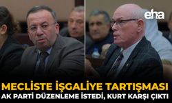 Mecliste İşgaliye Tartışması: AK Parti Düzenleme İstedi, Kurt Karşı Çıktı