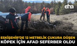 Eskişehir’de 12 Metrelik Çukura Düşen Köpek İçin AFAD Seferber Oldu