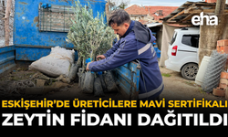Eskişehir’de Üreticilere Mavi Sertifikalı Zeytin Fidanı Dağıtıldı