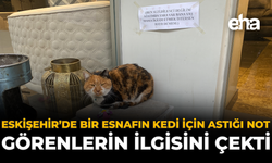 Eskişehir’de Bir Esnafın Kedi İçin Astığı Not Görenlerin İlgisini Çekti