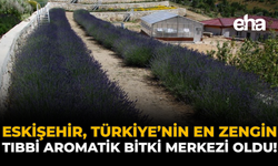 Eskişehir, Türkiye’nin En Zengin Tıbbi Aromatik Bitki Merkezi Oldu!