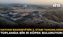 Hayvan Bakımevi'nin 2. Etabı Tamamlandı: Toplamda Bin 81 Köpek Bulunuyor!
