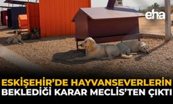 Eskişehir’de Hayvanseverlerin Beklediği Karar Meclis’ten Çıktı