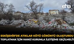 Eskişehir'de Mide Bulandıran Görüntüler! Vatandaşlar Tepki Gösterdi