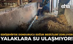 Eskişehir’de Dondurucu Soğuk Besicileri Zorluyor: Yalaklara Su Ulaşmıyor!