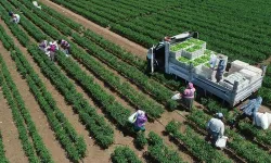 Eskişehir’de 3. TÜKAS Resen Kayıt Çalışmaları 30 Ocak’ta Tamamlanacak