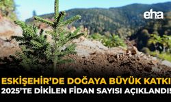 Eskişehir’e Nefes Olacaklar: 2025 Yılında Dikilen Fidan Sayısı Açıklandı!