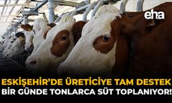 Eskişehir'de Üreticiye Tam Destek: Bir Günde Tonlarca Süt Toplanıyor!