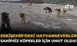 Eskişehir'deki Hayvanseverler Sahipsiz Köpekler İçin Umut Oldu!