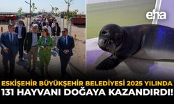 Eskişehir Büyükşehir Belediyesi 2025 Yılında 131 Hayvanı Doğaya Kazandırdı!