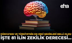 Dünya'nın ve Türkiye'nin En Zeki Şehirleri Belli Oldu: İşte 81 İlin Zekilik Derecesi...