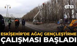 Eskişehir'de Ağaç Gençleştirme Çalışması Başladı