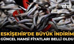 Eskişehir'de Büyük İndirim: Güncel Hamsi Fiyatları Belli Oldu!