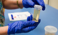 İşe Girmek İsteyenler Dikkat: Yeni Düzenleme Geliyor!