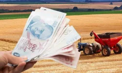Eskişehirli Çiftçiler Hesaplarını Kontrol Etsin: Ödemeler Başladı