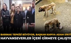 Barınak Tepkisi Büyüyor: Başkan Kapıya Adam Dikti, Hayvanseverler İçeri Girmeye Çalıştı!