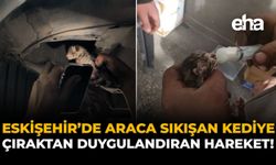 Eskişehir’de Araca Sıkışan Kediye Çıraktan Duygulandıran Hareket!