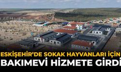 Eskişehir’de Sokak Hayvanları İçin Bakımevi Hizmete Girdi