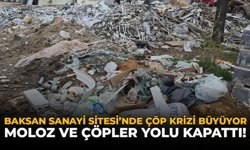 Baksan Sanayi Sitesi'nde Çöp Krizi Büyüyor: Moloz ve Çöpler Yolu Kapattı!