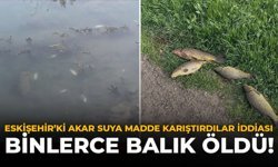 Eskişehir’deki Akar Suya Madde Karıştılar İddiası: Binlerce Balık Öldü!