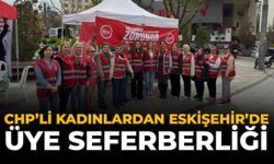 CHP’li Kadınlardan Eskişehir’de Üye Seferberliği