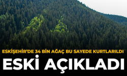 Eskisehir’de 34 Bin Ağaç Bu Sayede Kurtarıldı: ESKİ Açıkladı
