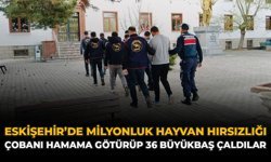 Eskişehir'de Milyonluk Hayvan Hırsızlığı: Çobanı Hamama Götürüp 36 Büyükbaş Çaldılar