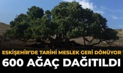 Eskişehir’de Tarihi Meslek Geri Dönüyor: 600 Ağaç Dağıtıldı