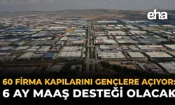 60 Firma Kapılarını Gençlere Açıyor: 6 Ay Maaş Desteği Olacak