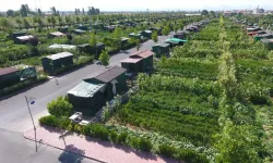 Eskişehir'de Hobi Bahçelerini İlgilendiren Yeni Karar: 60 Bin Kişi Etkilenebilir