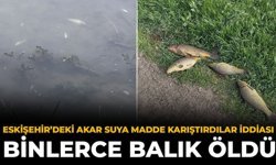 Eskişehir’deki Akar Suya Madde Karıştırdılar İddiası: Binlerce Balık Öldü!