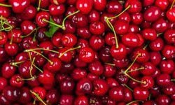 Sezonun İlk Kirazı Rekor Fiyatla Geldi: Kilogramı 6 Bin TL