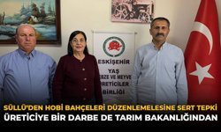 Süllü’den Hobi Bahçeleri Düzenlemesine Sert Tepki: "Üreticiye Bir Darbe de Tarım Bakanlığından"
