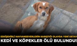 Eskişehirli Hayvanseverlerin Karıştığı Olayda Yeni Detay: Kedi ve Köpekler Ölü Bulundu!