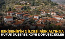 Eskişehir'in 2 İlçesi Risk Altında: Nüfus Düşerse Köye Dönüşecekler