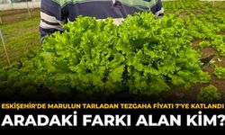 Eskişehir'de Marulun Tarladan Tezgaha Fiyatı 7'ye Katlandı: Aradaki Farkı Alan Kim?