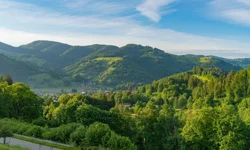 Türkiye'nin En Yeşil Kentleri Açıklandı: Sadece 14 İl Sınırı Geçebildi