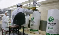 Türkşeker İş İlanını Duyurdu: 5 Farklı Kadroda 525 İşçi Aranıyor