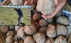 Eskişehirliler Sabahın Köründe Arıyor: Kilosu 2 Bin TL'den Satılıyor
