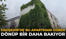 Eskişehir'de Bu Apartmanı Gören Dönüp Bir Daha Bakıyor